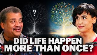 An Astrobiologist Pieces Together How Life Started, with Betül Kaçar MQDEFAULT Thumbnail