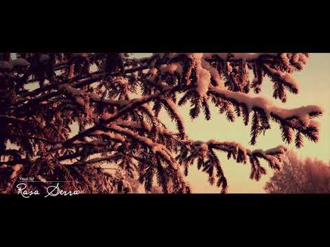 Lithuanian folk song - Vai tu bitaite (Advento daina) - Rasa Serra