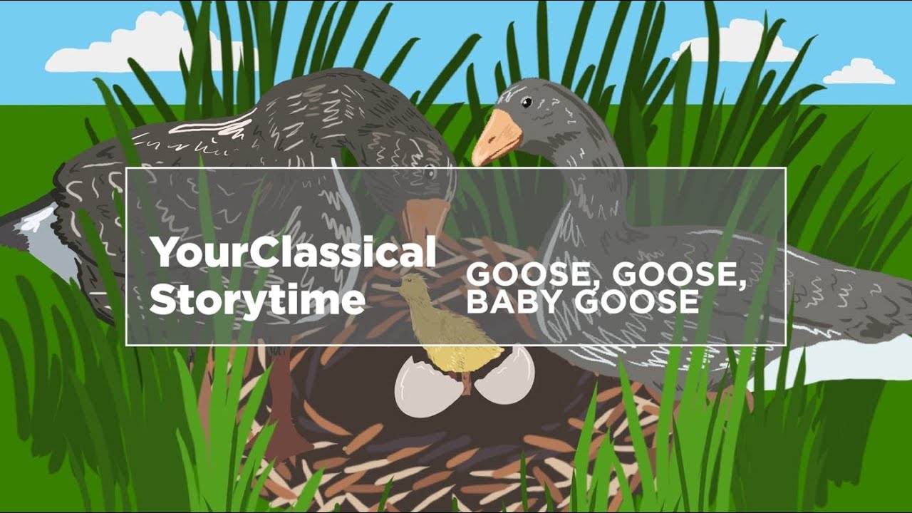 'Goose, Goose, Baby Goose!'