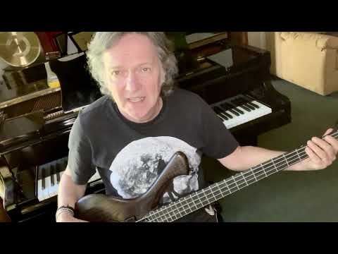 Laurus Red Canzian PROJECT-4