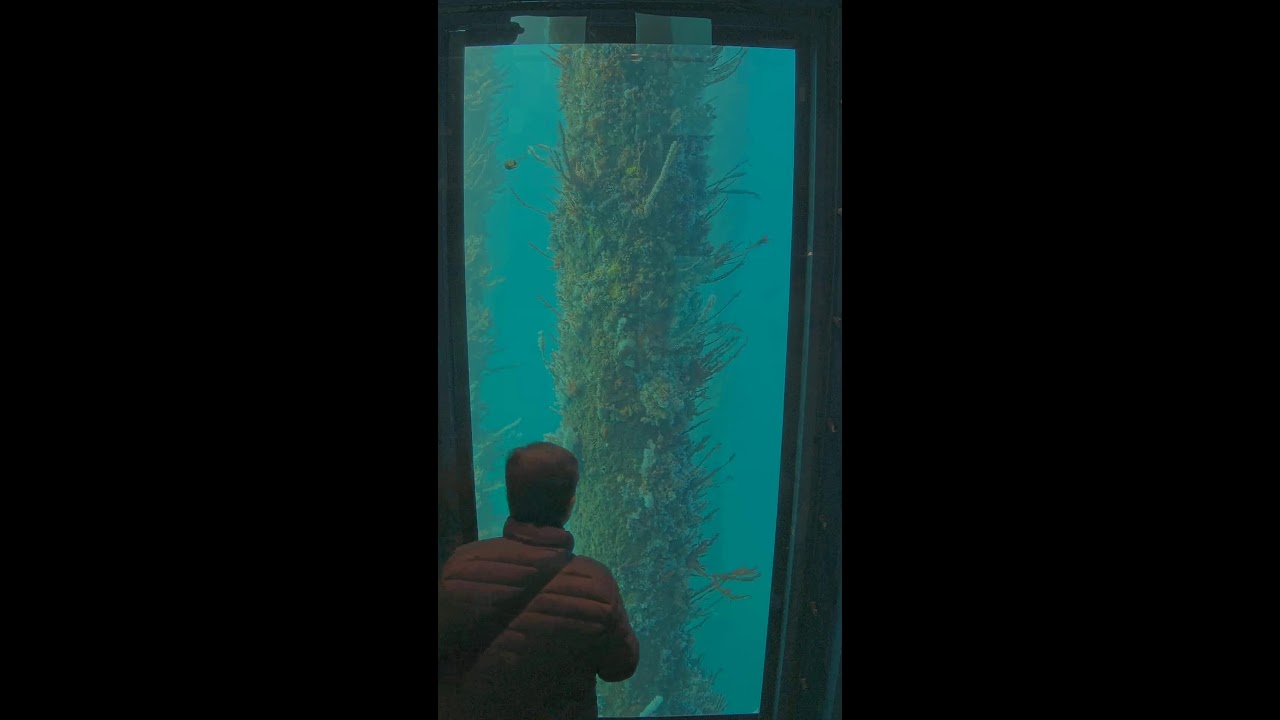 Live webcam view of Busselton Jetty Observatory South Window