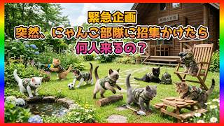 CODBO7 のほほーん
