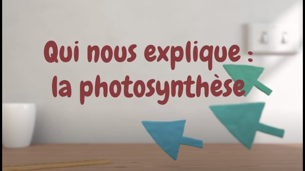 La photosynthèse par Gilles Vincent, botaniste