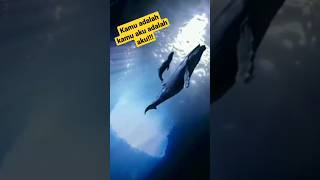 Download lagu Lagu Tiga #iwanfals #shorts mp3