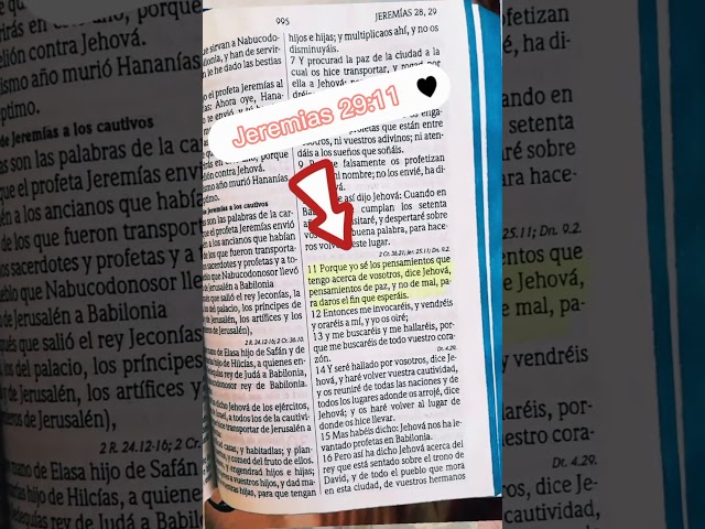 Vídeo relacionado con Creer en las posibilidades Dios cristiano versículo bíblico Shar Pei Camiseta