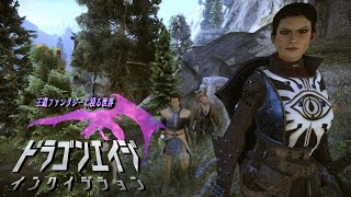 [PS4] 王道ファンタジーに浸る世界 / ﾄﾞﾗｺﾞﾝｴｲｼﾞｲﾝｸｲｼﾞｼｮﾝ #6