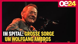 Große Sorge um Wolfgang Ambros: Darum musste Austropop-Legende ins Spital