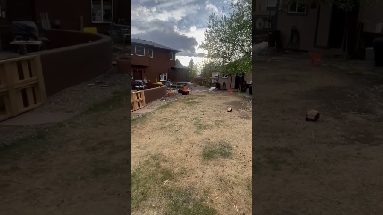 Enlarge Lil Miss, a ADOPTABLE mixed breed in Colorado Springs, CO video 6/6