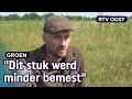 Blauwgrasland is uiterst zeldzaam, waarom is dat zo speciaal? | RTV Oost