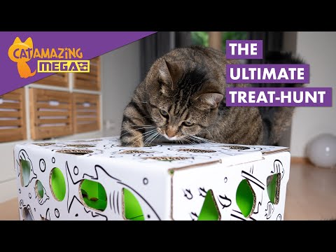 The Ultimate Treat-hunt – Cat Amazing MEGA Interactive Puzzle Feeder Cat Toy