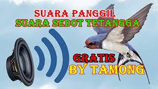 Download lagu TERBARU... SUARA PANGGIL ( SP ) SEDOT TETANGGA BUAT WALET mp3 Download lagu TERBARU... SUARA PANGGIL ( SP ) SEDOT TETANGGA BUAT WALET mp3