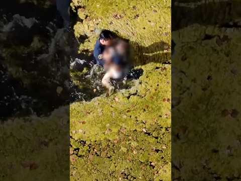 Police officer rescues child from pond in Minnesota