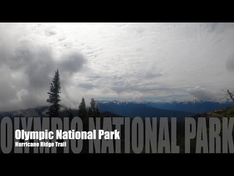 4K Virtual Hike - Hurricane Ridge Trail - Olympic National Park