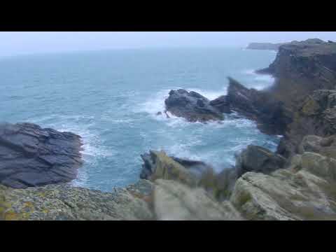 On the Cliffs, Treardurr, Holy Island, Anglesey, Wales