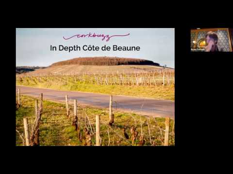 In-Depth Côte de Beaune