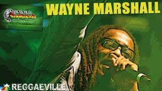 Wayne Marshall - I Know @ Rototom Sunsplash 2013 [August 24th]