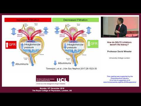 Professor David Wheeler – „Welchen Nutzen haben SGLT2-Hemmer für die Niere?“