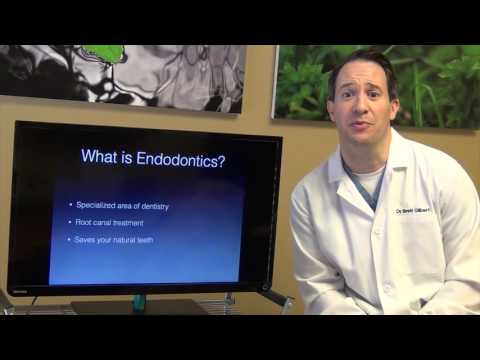 Root Canal Awareness Ep  1