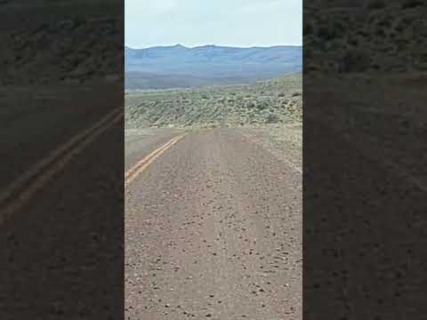 Tucuras invaden Ruta 25 #tecka #chubut