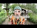 Jak si najít práci nejen po škole Jak si najít práci nejen po škole