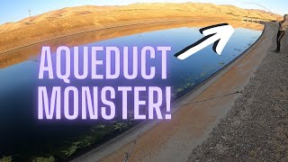 She Hooked A Monster Fish!! | CA Aqueduct Striper Fishing | Delta Mendota Canal