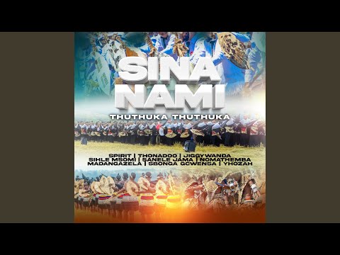 SINA NAMI