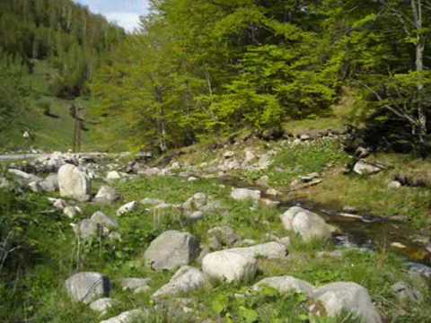 Paşi în Ţara Haţegului