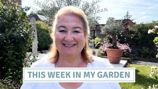 Mini Garden Jobs to Keep Your Garden Thriving // Cottoverdi