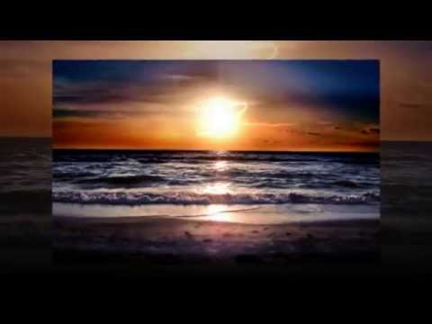 Psybionica -  Divine Sunset