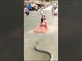 Mhadev Shankar H Jag Se Nirale Haridwar Ytshorts Share