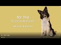 My Dog & Your Dog Too By Carrie Newcomer