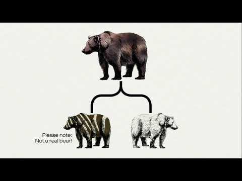 Mission 3: DNA Spells Evolution