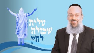 פרשת קרח | כמה אמת אתה באמת רוצה לשמוע | הטעות הקטלנית של הנפש הרוחנית ᴴᴰ (הרב שי עטרי) - התמונה מוצגת ישירות מתוך אתר האינטרנט יוטיוב. זכויות היוצרים בתמונה שייכות ליוצרה. קישור קרדיט למקור התוכן נמצא בתוך דף הסרטון