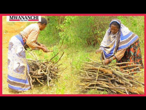 Wanawake Handeni wasimulia maswahibu utafutaji kuni