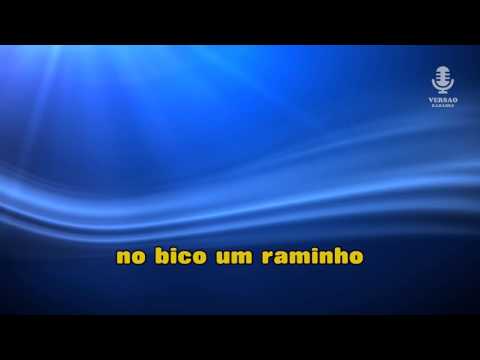 ♫ Karaoke SENHORA CEGONHA  - Zé Amaro