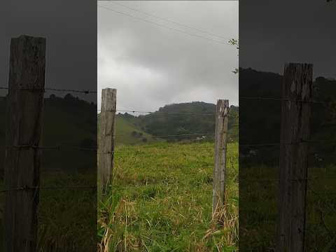 Tempo nublado 🌥️ interior de Pernambuco - Lagoa dos gatos #viral #youtubeshorts #vidanaroça