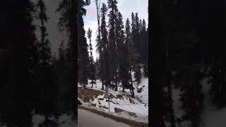 preview picture of video 'Kashmir trip 2017 - 18'