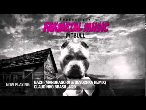 Chris Lawyer - Fakmetal Music #7 The Pitbull
