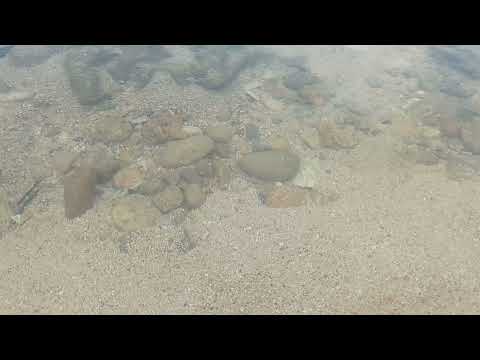 Kabana Island Adult class Team building