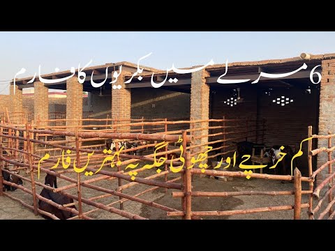 , title : '6 Marla Goat Shed || Structure of a Goat Farm | How to Start Goat Farming ||#goatfarming'