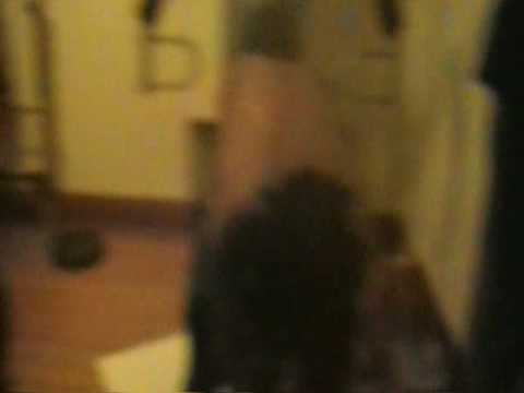 Boonie Moe On Gmb Shit