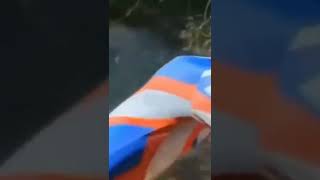 Download lagu story wa ultraman dorong gerobak #ultraman #fyp #shorts #storywa #storykekinian #lucu mp3 Download lagu story wa ultraman dorong gerobak #ultraman #fyp #shorts #storywa #storykekinian #lucu mp3