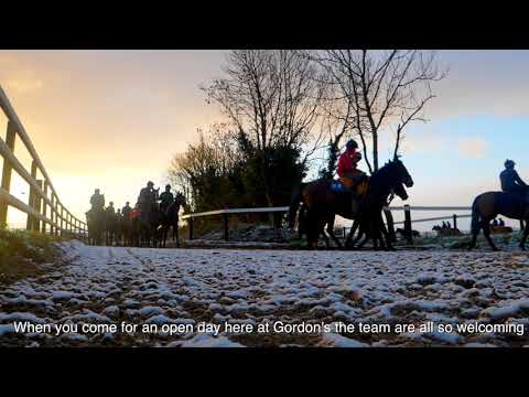 Pioneer Racing Club | Racehorse Ownership