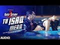 Tu Isaq Mera Full AUDIO Song Hate Story 3 Meet Bros Ft Neha Kakkar T Series