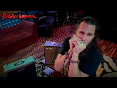 Best Blues Harmonica Microphones | Astatic Biscuit Bullet Harp Mic - Microphone Monday 257