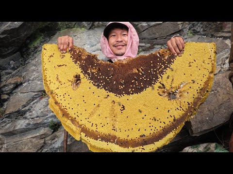 Hunting Nepal’s Mad Honey || That Makes You Hallucinate || Wild Honey Hunting In Nepal