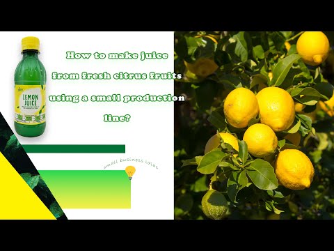 citrus fruits juice production line, how to produce lemon juice in a small factory?