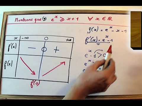 Fonction exponentielle et tableau de variation : MATHS TS