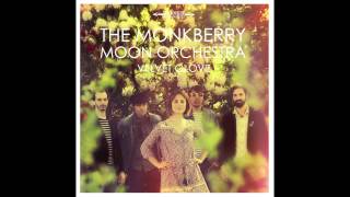 The Monkberry Moon Orchestra - Mr Spaceman (The Byrds cover - 2014)