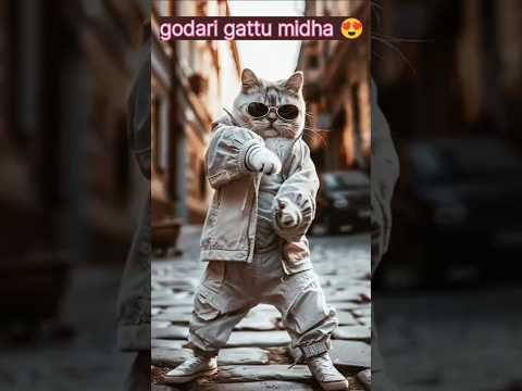 godari gattu midha 😍#catlover #trending #trendingshorts #viralvideo #shortvideo